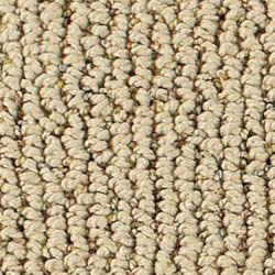 B/P Carpet & Upholstery Cleaning Carpet Selection Guide - Smart Strand Carpet